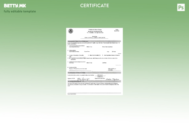 Модерен стил Услуги за државјанство и имиграција на САД Шаблон за потврда за про